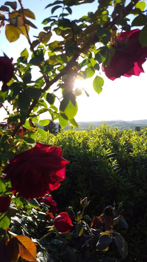 Sunset Hill - Tuscany - Villa & Private Pool 卡斯泰尔菲奥伦蒂诺 外观 照片