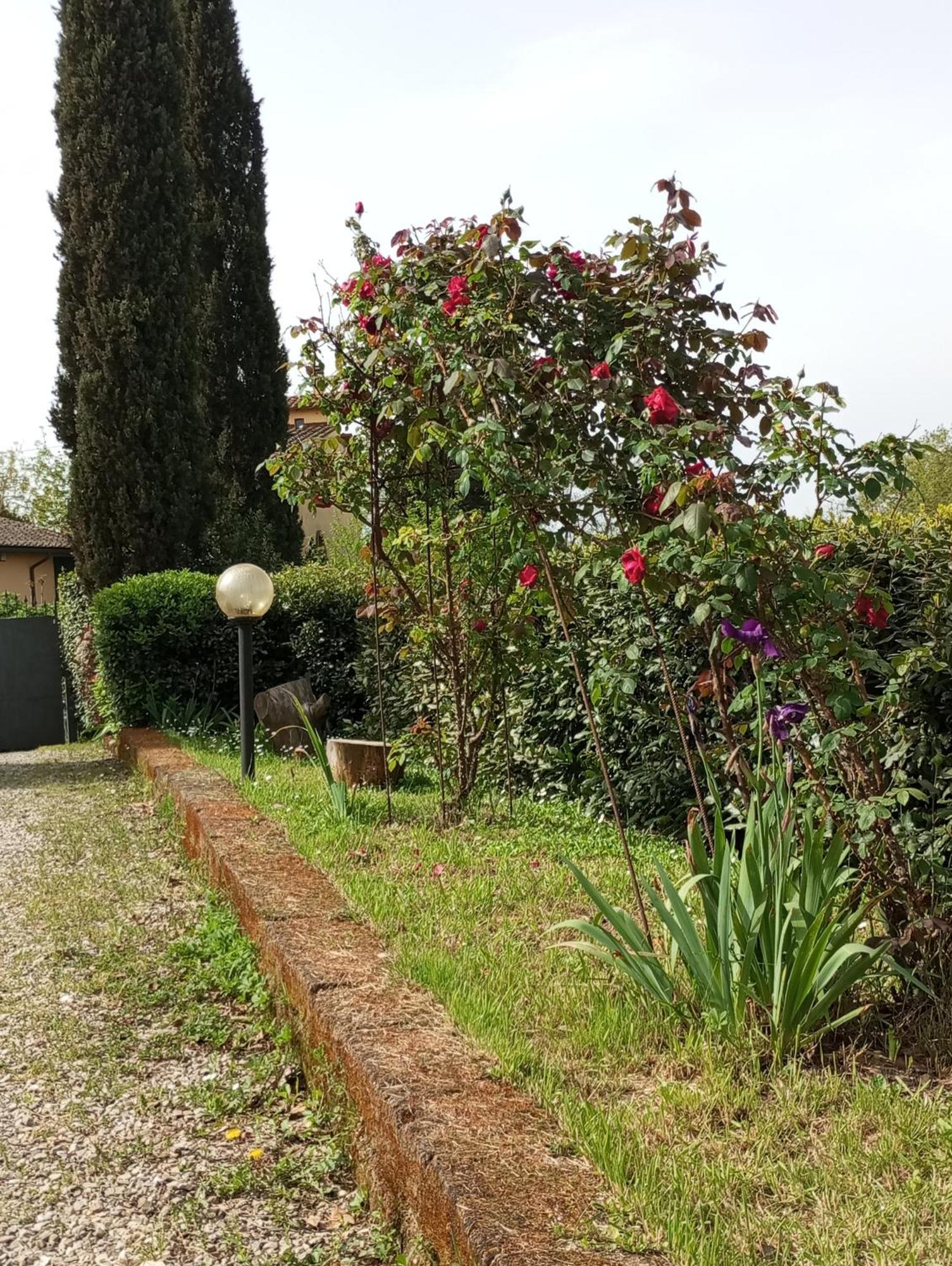 Sunset Hill - Tuscany - Villa & Private Pool 卡斯泰尔菲奥伦蒂诺 外观 照片